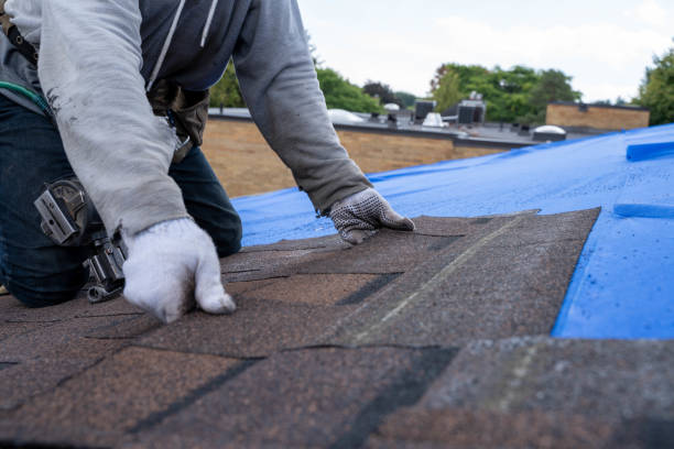 Best Roof Waterproofing  in Gladstone, MI